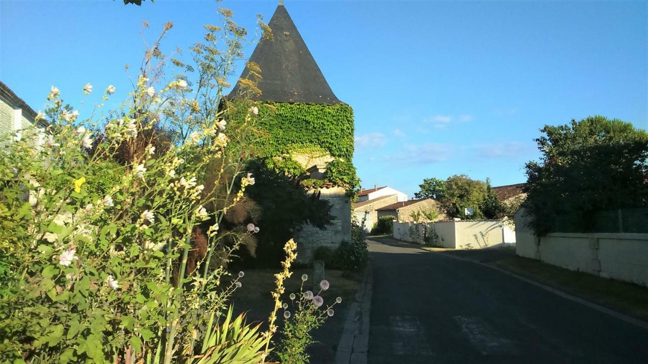 Les Gites Du Vigneron Et Cd'H Saint-Seurin-de-Palenne 外观 照片