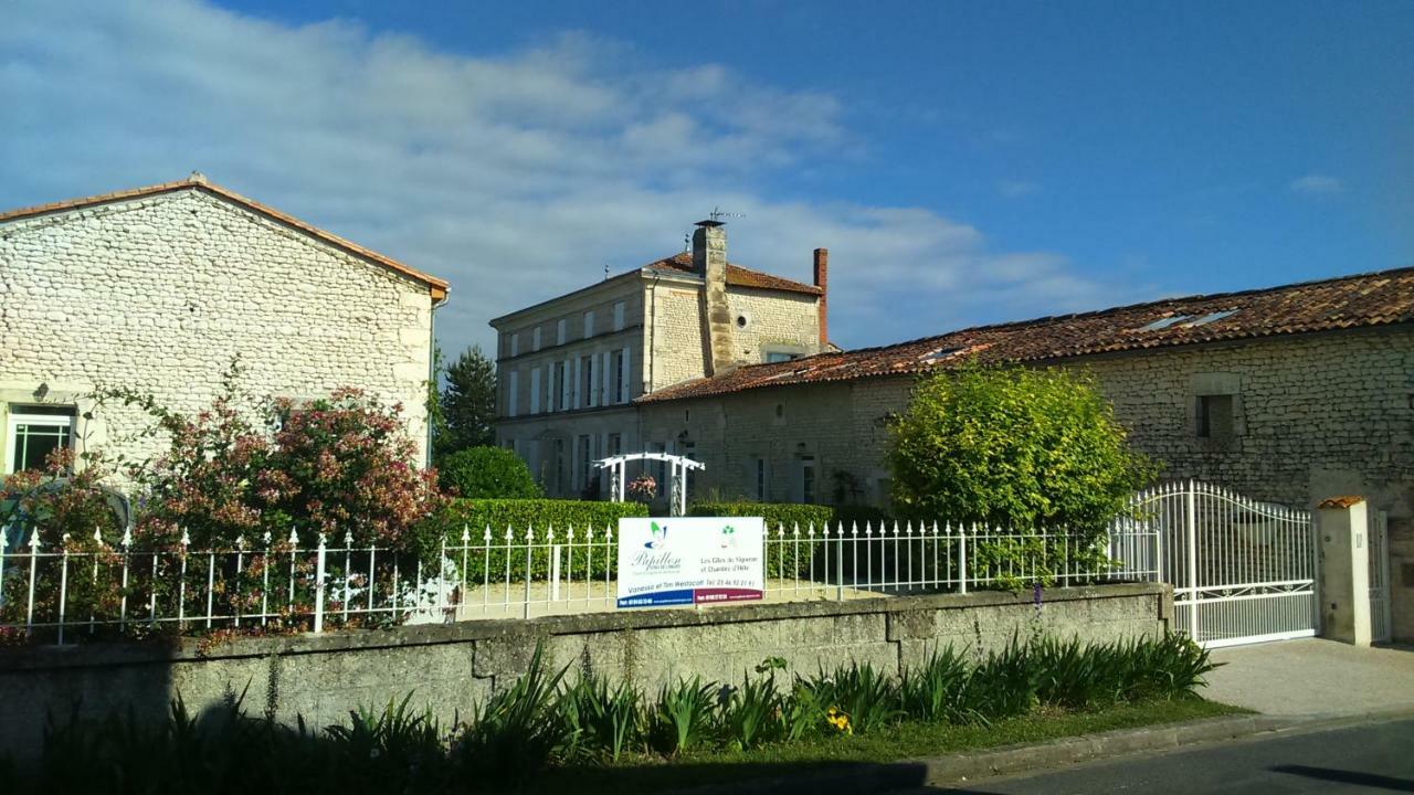 Les Gites Du Vigneron Et Cd'H Saint-Seurin-de-Palenne 外观 照片